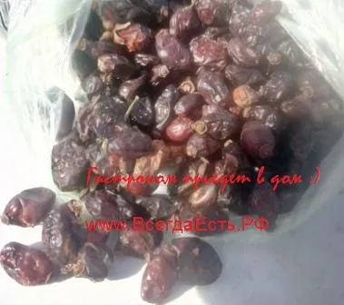 Фотография продукта Шиповник плоды сухие Нижний Новгород